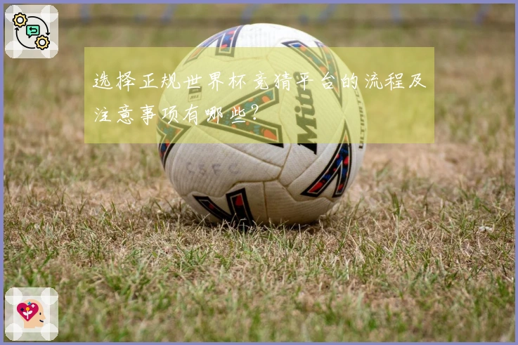 选择正规世界杯竞猜平台的流程及注意事项有哪些？