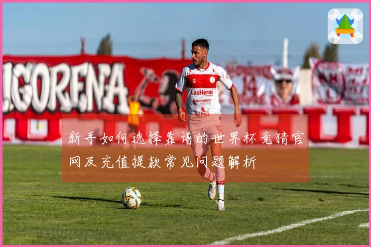 新手如何选择靠谱的世界杯竞猜官网及充值提款常见问题解析