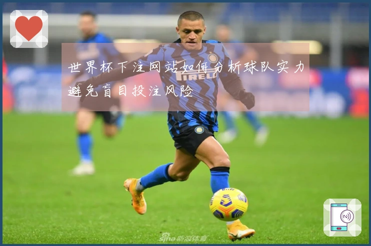 世界杯下注网站如何分析球队实力避免盲目投注风险