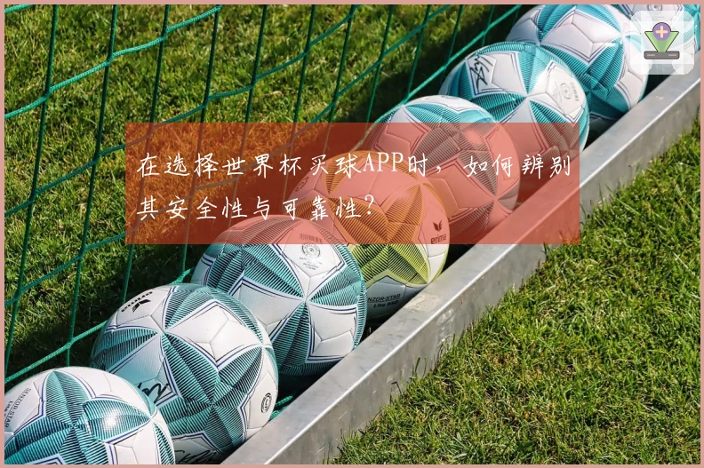 在选择世界杯买球APP时，如何辨别其安全性与可靠性？