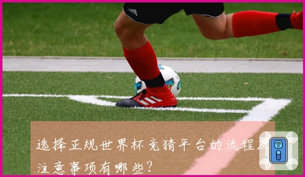 选择正规世界杯竞猜平台的流程及注意事项有哪些？