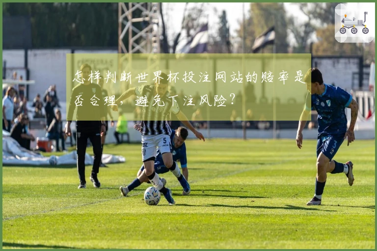 怎样判断世界杯投注网站的赔率是否合理，避免下注风险？