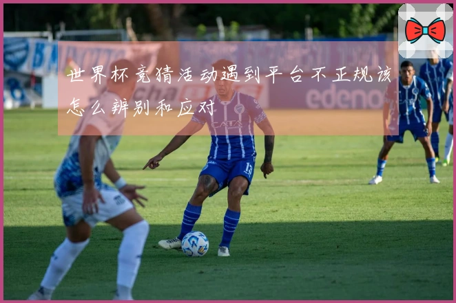 世界杯竞猜活动遇到平台不正规该怎么辨别和应对