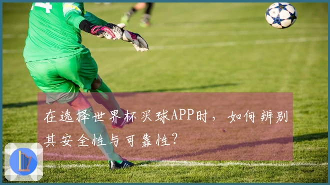 在选择世界杯买球APP时，如何辨别其安全性与可靠性？